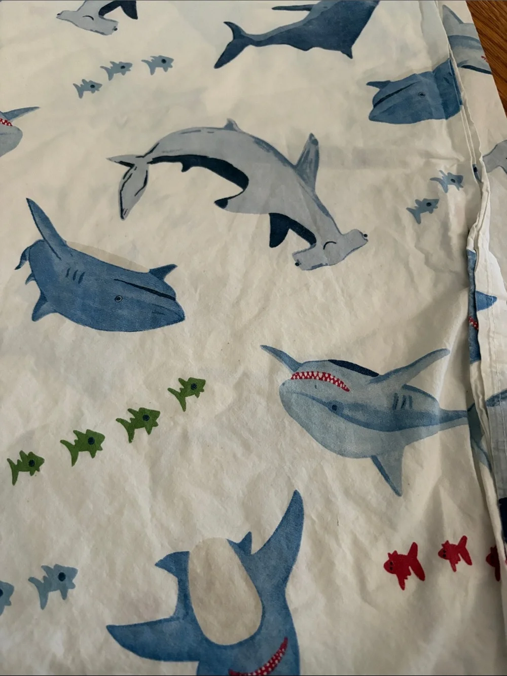 Pottery Barn Kids Blue Shark and Fish Print Sheet - White Background